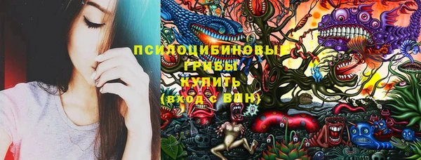 spice Алексин