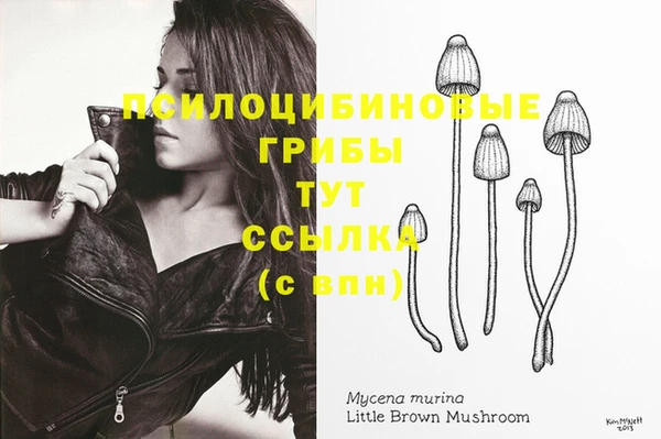 каннабис Алзамай